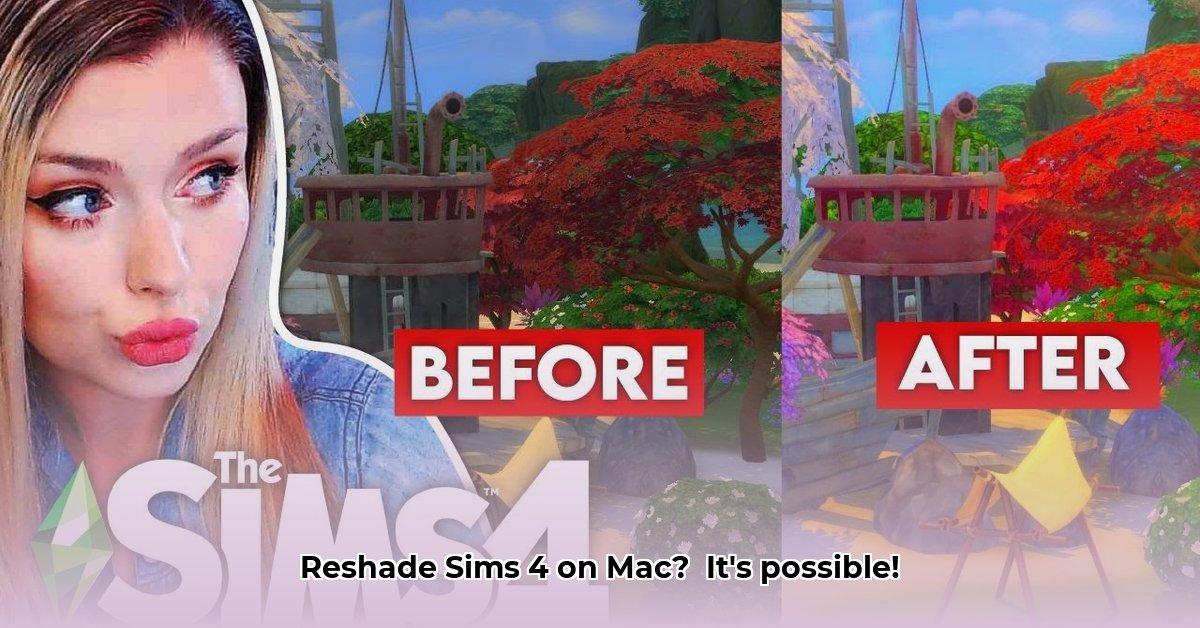 how-to-reshade-sims-4-on-mac